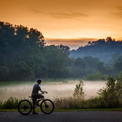 orange sunset and bicyclist on a forest trail with fog