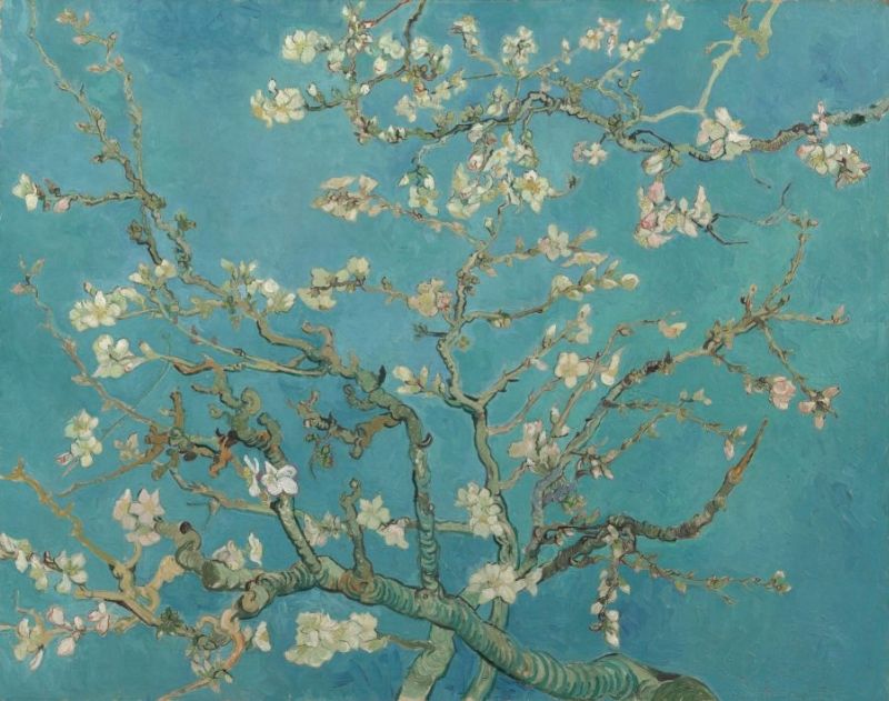 oil painting of blossoming almond trees against a blue sky